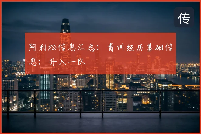 阿利松信息汇总：青训经历基础信息：升入一队